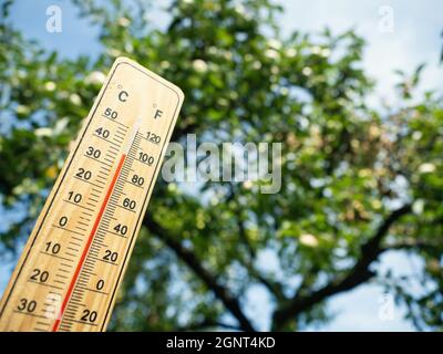 Thermomètre en bois avec liquide de mesure rouge montrant une température élevée de plus de 36 degrés Celsius le jour ensoleillé sur fond de pommier. Concept de l'Hea Banque D'Images