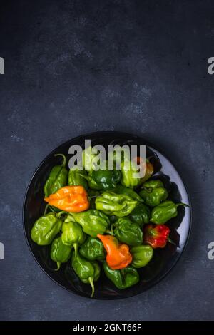poivrons de piment de habanero, variété chaude et non mûre de chinense de capsicum, fruits de couleur verte, orange et rouge sur une assiette Banque D'Images