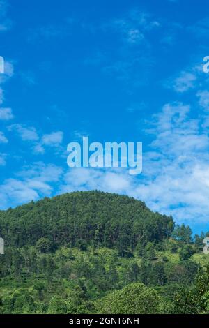 montagne avec arbres avec ciel bleu et nuages, par une journée ensoleillée Banque D'Images