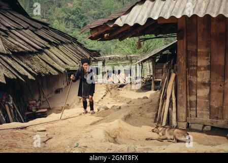 Sapa, Vietnam - 14 avril 2016: Vieille femme vietnamienne avec bâton près de sa maison dans le village près de Sapa.Le chien peut dormir à l'extérieur.Minorité Hmong noire Banque D'Images