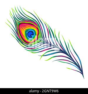 Illustration stylisée d'une plume de paon. Image pour le design ou la décoration. Illustration de Vecteur