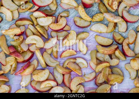 séchage des pommes sur une surface plane, fruits séchés au soleil Banque D'Images