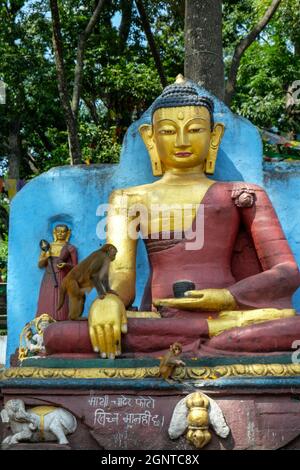 Statue de Bouddha à la Swayambhunath Stupa à Katmandou, Népal. Banque D'Images