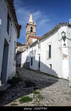 La Matanza: Abattage traditionnel de porcs espagnol observé dans le village d'Alajar. Banque D'Images