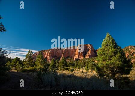 Falaises de roche rouge dans le parc national de Zions prises de Kolob Terrace Road.Cette région de Zions est une région moins connue et loin de la plupart du trafic touristique. Banque D'Images