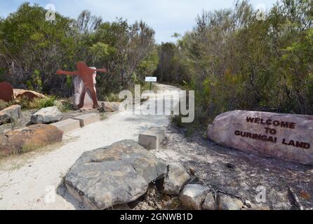 Art rupestre aborigène et gravures dans le parc national de Ku-ring-gai Chase, Sydney, Australie Banque D'Images
