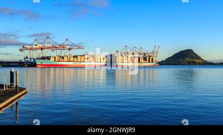 Le port de Tauranga, Nouvelle-Zélande. Deux navires de cargaison prennent des conteneurs. Sur la droite se trouve le mont Maunganui Banque D'Images