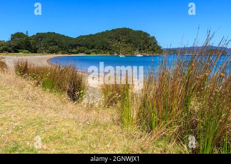 Une baie sur l'île de Motuarohia (Roberton) dans la magnifique baie des îles, Nouvelle-Zélande Banque D'Images