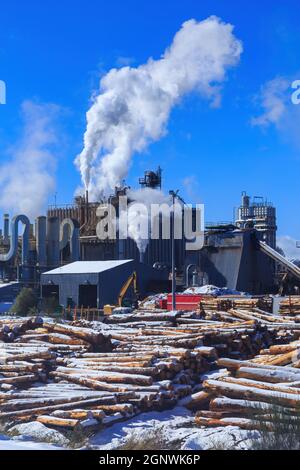 Une usine de pâte en hiver, entourée de rondins et de neige. Photographié dans le centre de l'île du Nord, en Nouvelle-Zélande Banque D'Images