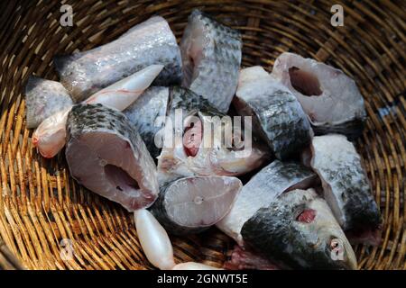 La préparation chaude et épicée curry de poisson dans la cuisine cuisinière dans la boue à l'extérieur du village, maison Kumrokhali, West Bengal, India Banque D'Images