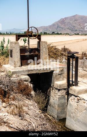 anciennes portes de l'écluse sur la plantation ou le bosquet d'orange espagnol Banque D'Images