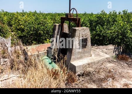 anciennes portes de l'écluse sur la plantation ou le bosquet d'orange espagnol Banque D'Images