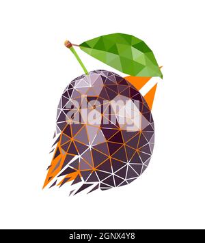 Illustration vectorielle de style graphique Banque D'Images