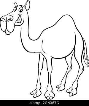 dromadaire camel dessin animé animal caractère coloriage livre page Illustration de Vecteur