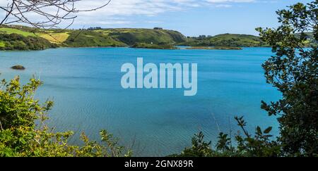 Lough Hyne, West Cork, Irlande Banque D'Images