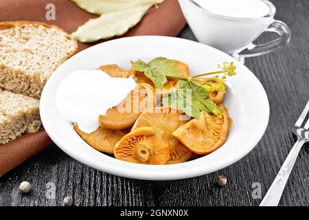 Safran de champignons salés à la crème aigre, feuille de cassis et branche d'aneth dans l'assiette, la fourchette, la serviette et le pain sur fond de bois Banque D'Images