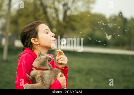 La fille tient le chat dans ses mains et souffle sur le pissenlit. Banque D'Images