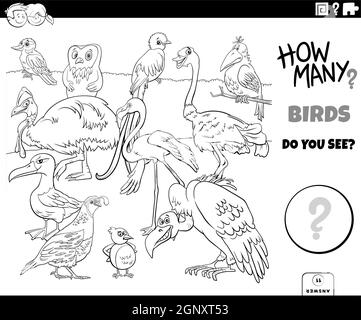 compter les oiseaux tâche éducative pour enfants coloriage livre page Illustration de Vecteur