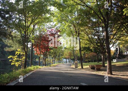 Chemin piétonnier pavé ou chemin de promenade avec arbres sur les côtés pour la promenade publique. Parc de banlieue avec trottoir et arbres sur les côtés Banque D'Images