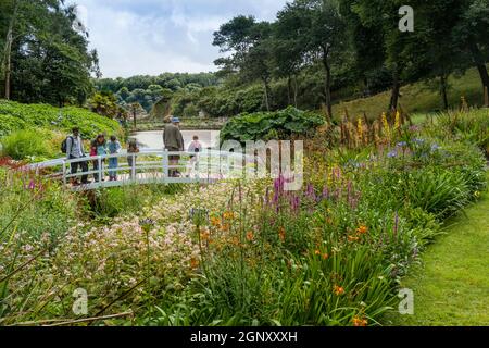 Les visiteurs se trouvant sur la passerelle ornementale au-dessus de l'étang Mallard, dans les jardins subtropicaux luxuriants de Trebah Gardens, dans les Cornouailles. Banque D'Images