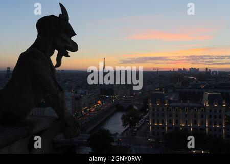 Les Chimères de Notre Dame en regardant le coucher de soleil à Paris Banque D'Images