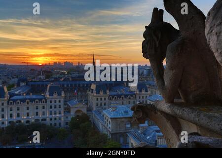 Les Chimères de Notre Dame en regardant le coucher de soleil à Paris Banque D'Images