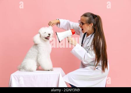 Portrait conceptuel de la jeune belle femme, vétérinaire avec chien de coolé blanc isolé sur fond rose studio. Soins pour animaux de compagnie, animaux chez l'homme Banque D'Images