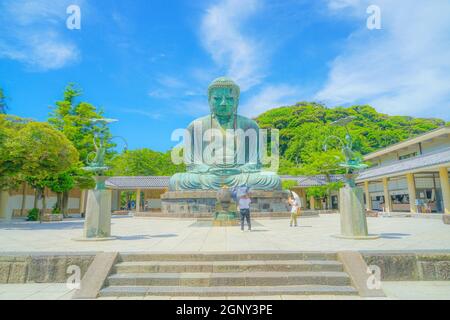 Début de l'été du Grand Bouddha de Kamakura, enveloppé dans du vert frais. Lieu de tournage: Kamakura, préfecture de Kanagawa Banque D'Images