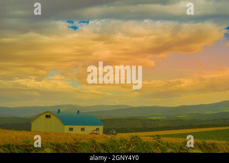 Image des grandes plaines d'Hokkaido. Lieu de tournage : Hokkaido Biei-cho Banque D'Images