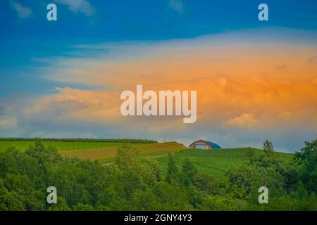 Image des grandes plaines d'Hokkaido. Lieu de tournage : Hokkaido Biei-cho Banque D'Images