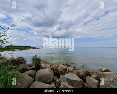 La côte de la lagune de Curonian avec de hautes roseaux verts et un brise-lames en pierre et des mouettes lors d'une journée ensoleillée d'été Banque D'Images