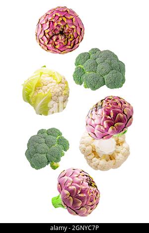 Légumes isolés. Sept mélanges de brocoli, d'artichauts et de chou-fleur dans l'air sur blanc avec le chemin d'écrêtage comme élément de conception d'emballage. Pleine profondeur Banque D'Images