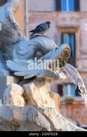 Fontaine du Panthéon sur la Piazza della Rotonda devant le temple du Panthéon, Rome, Italie Banque D'Images
