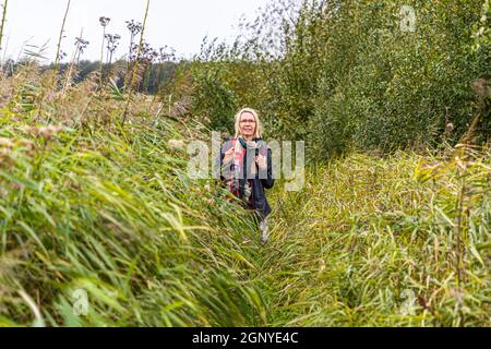 Collines douces et sentiers doux sur le chemin de l'archipel (Øhavsstien).Sur l'île danoise de Langeland, on fait souvent des randonnées dans la protection des haies fortifiées à travers des chemins en contrebas.Les champs alternent avec des étendues de plage et à la distance une forêt de hêtres est déjà visible.Langeland, Danemark Banque D'Images