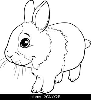 Livre De Coloriage Lapin De Dessin Anime Image Vectorielle Stock Alamy