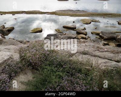 Rochers sur les rives de la mer Caspienne. Kazakhstan. Région de Mangistau. 30 septembre 2019 année. Banque D'Images