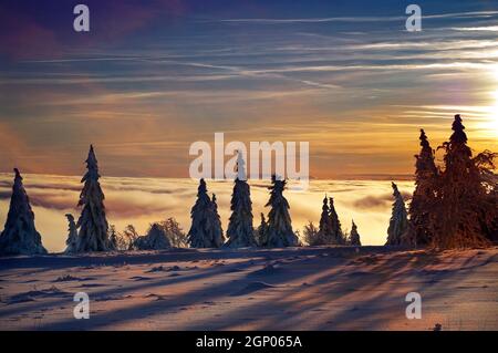 Schneebematte Bäume auf dem Kahlen Asten im Rothaargebirge im Abendlicht mit Wolken, die sich am Berg stauen. Der Kahle Asten im Astenv Massiist der Banque D'Images