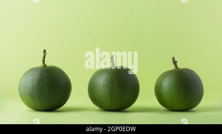 Orange aigre ou orange amère, également appelé séville, bigrede ou orange marmelade, fruit d'agrumes à forte vitamine C isolé sur un fond vert clair Banque D'Images