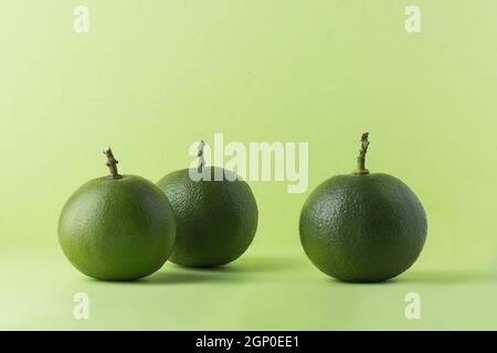 Orange aigre ou orange amère, également appelé séville, bigrede ou orange marmelade, fruit d'agrumes à forte vitamine C isolé sur un fond vert clair Banque D'Images