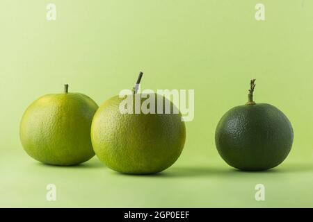 Orange aigre ou orange amère, également appelé séville, bigrede ou orange marmelade, fruit d'agrumes à forte vitamine C isolé sur un fond vert clair Banque D'Images