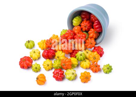 cerises du surinam ou fruits pitanga également connu sous le nom de cerises brésiliennes ou cerises cayenne ou cerises de floride, fruits mûrs et non mûrs brillants et attrayants fa Banque D'Images