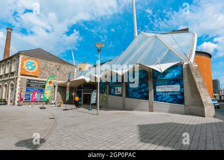 Aquarium de Bristol, vue en été de l'entrée de l'aquarium de la ville à Anchor Square, Bristol, Avon, Royaume-Uni, Angleterre Banque D'Images