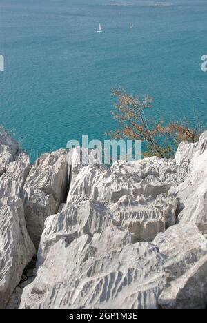 Formation de karst sur la côte Adriatique du nord de l'Italie Banque D'Images