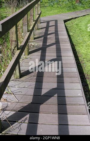 Chemin de promenade en plastique recyclé avec clôture en bois sur une zone marécageuse humide dans un parc avec arbres, arbustes, herbe et un étang en arrière-plan. Banque D'Images