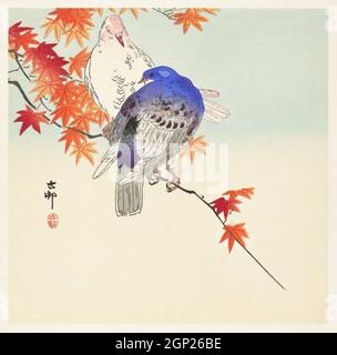 Deux pigeons sur la branche d'automne (1900 - 1936) par Ohara Koson (1877-1945). Banque D'Images