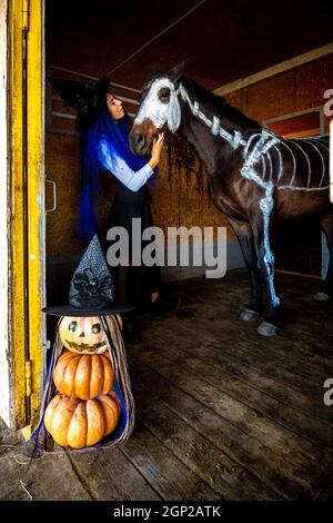 Une fille habillée comme sorcière regarde un cheval sur lequel un squelette est peint en peinture blanche, au premier plan est une figurine maléfique de citrouilles Banque D'Images