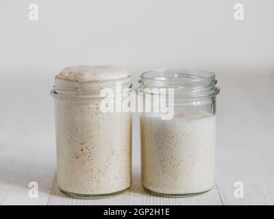 Deux pots en verre avec des démarreurs de levain de blé dans différents niveaux d'hydratation. Starter 100 % hydration (gauche) et Starter avec une hydratation plus élevée (ri Banque D'Images