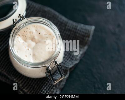 Démarreur de levain de blé. Bol en verre avec entrée de levain sur fond sombre, espace de copie. Banque D'Images