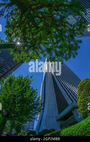 Vert frais et bâtiment de haute hauteur Shinjuku. Lieu de tournage : zone métropolitaine de Tokyo Banque D'Images