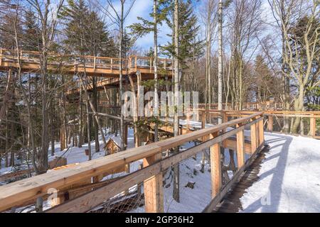 Le chemin en bois de la tour d'observation des cimes abrite les arbres à la station de ski Slotwiny Arena de Krynica Zdroj, en Pologne Banque D'Images